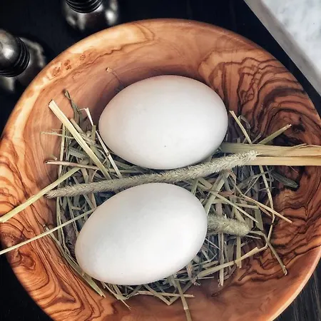 Hotel Au Club Alpin Champex-Lac