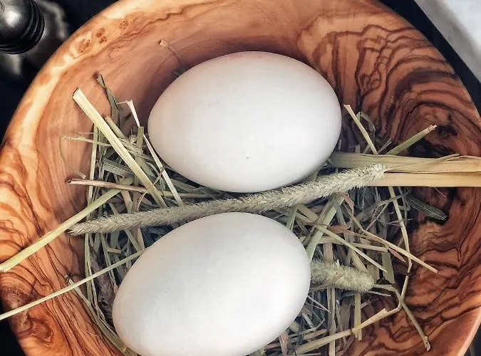 Hotel Au Club Alpin Champex-Lac